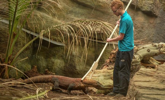 Chester Zoo and DCG Offer Apprenticeship Opportunities For Tomorrow's Wildlife Champions