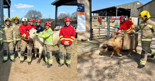 Derbyshire Fire and Rescue Service teams up with Derby College Group in animal rescue techniques