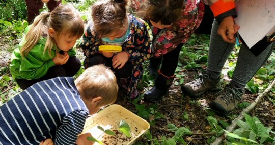 Wilder Shipley event this Saturday - Celebrate Nature!