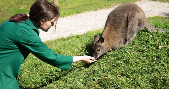 Derby College Group to Host Christmas Themed Animal Unit Open Day