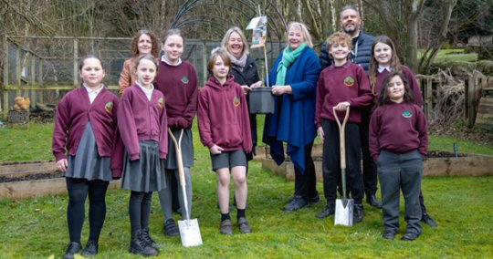 Free Trees To Be Planted At 133 Derbyshire Schools